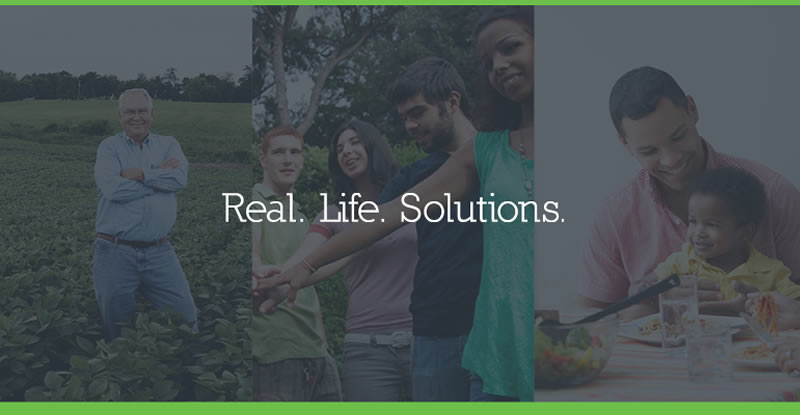 Real Life Solutions Banner